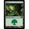Forest C Thumb Nail