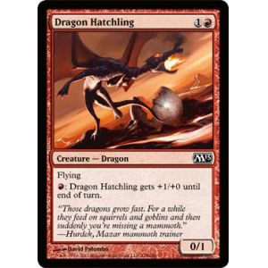 Dragon Hatchling
