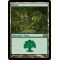 Forest A Thumb Nail