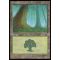 Forest A Thumb Nail
