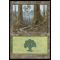 Forest C Thumb Nail