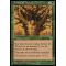 Armor of Thorns Thumb Nail