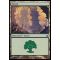 Forest A Thumb Nail