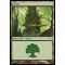Forest A Thumb Nail