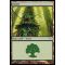 Forest C Thumb Nail