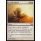 Second Sunrise Thumb Nail