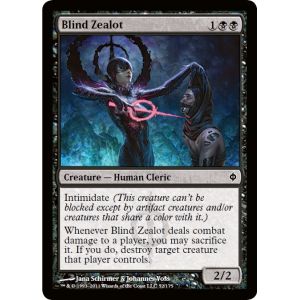 Blind Zealot