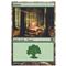 Forest A Thumb Nail