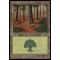 Forest A Thumb Nail