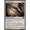 Poultice Sliver Thumb Nail
