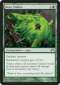 Boar Umbra Thumb Nail