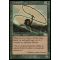 Quirion Dryad Thumb Nail