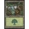 Forest A Thumb Nail