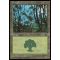 Forest C Thumb Nail