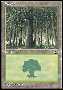 Forest A Thumb Nail