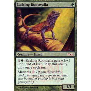 Basking Rootwalla