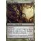 Wall of Roots Thumb Nail