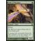 Birds of Paradise Thumb Nail