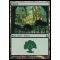 Forest C Thumb Nail