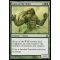 Scion of the Wild Thumb Nail