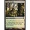 Temple Garden Thumb Nail
