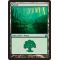 Forest A Thumb Nail
