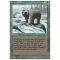 Grizzly Bears Thumb Nail