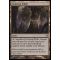 Evolving Wilds Thumb Nail