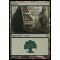 Forest C Thumb Nail