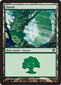 Forest A Thumb Nail