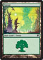 Forest C Thumb Nail