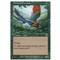Birds of Paradise Thumb Nail