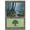 Forest A Thumb Nail