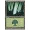 Forest C Thumb Nail