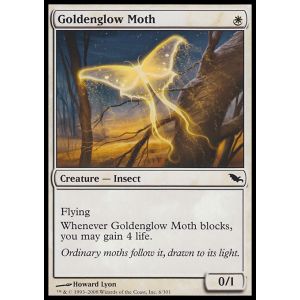 Goldenglow Moth