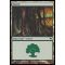 Forest A Thumb Nail