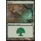 Forest C Thumb Nail