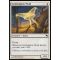 Goldenglow Moth Thumb Nail