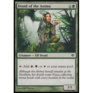 Druid of the Anima