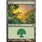 Forest C Thumb Nail
