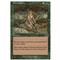 Elven Cache Thumb Nail