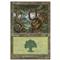 Forest A Thumb Nail