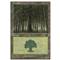Forest C Thumb Nail