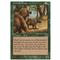 Grizzly Bears Thumb Nail