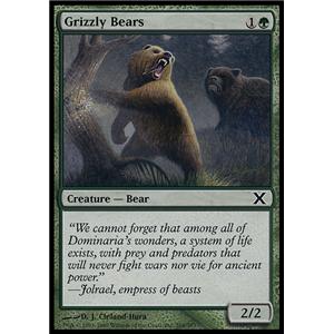 Grizzly Bears