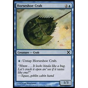 Horseshoe Crab