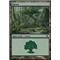 Forest C Thumb Nail
