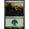 Forest A Thumb Nail