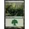 Forest C Thumb Nail