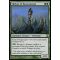 Thelon of Havenwood Thumb Nail